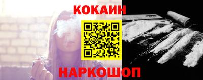 индика Кингисепп