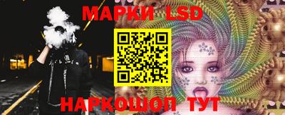 индика Кингисепп