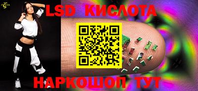 индика Кингисепп