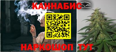 индика Кингисепп