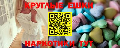 индика Кингисепп