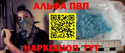 индика Кингисепп