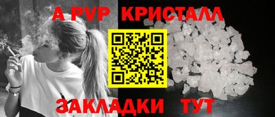 индика Кингисепп