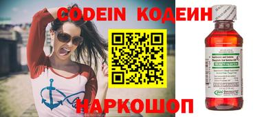 индика Кингисепп